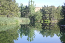 Enlarge photo 12