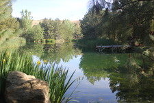 Enlarge photo 13