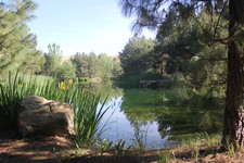 Enlarge photo 14