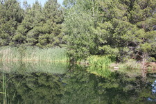 Enlarge photo 15