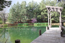 Enlarge photo 19