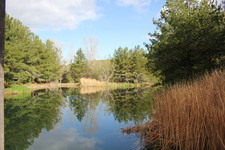 Enlarge photo 21