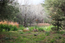 Enlarge photo 24