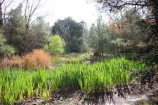Enlarge photo 25
