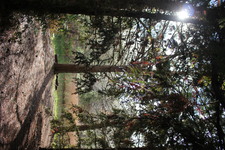 Enlarge photo 26