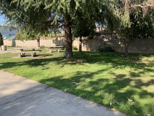 Enlarge photo 43