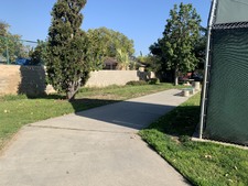 Enlarge photo 51
