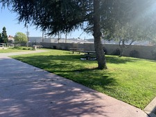 Enlarge photo 62