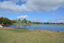 Enlarge photo 13