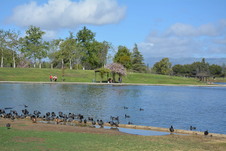 Enlarge photo 14