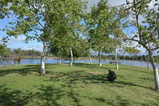 Enlarge photo 16