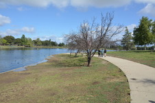 Enlarge photo 17