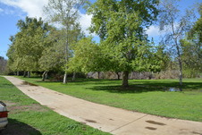 Enlarge photo 19