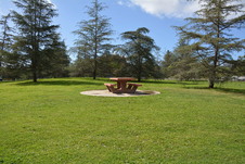 Enlarge photo 22