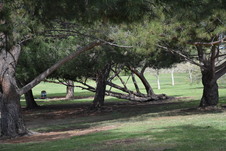 Enlarge photo 27