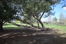 Enlarge photo 28