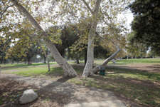 Enlarge photo 40