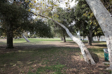 Enlarge photo 41