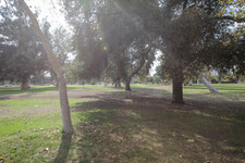 Enlarge photo 42