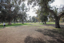 Enlarge photo 43