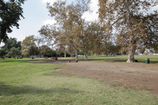 Enlarge photo 51