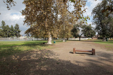 Enlarge photo 54