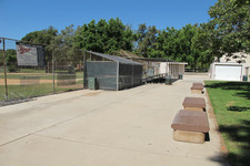 N Weddington Park