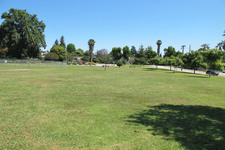 Enlarge photo 35