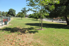 Enlarge photo 28
