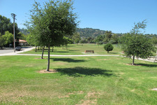 Enlarge photo 32