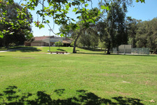 Enlarge photo 33