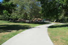 Enlarge photo 43