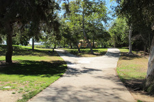 Enlarge photo 44