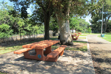 Enlarge photo 48