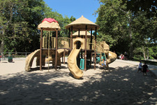 Enlarge photo 52