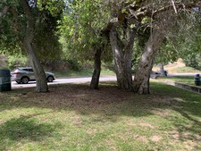 Enlarge photo 26