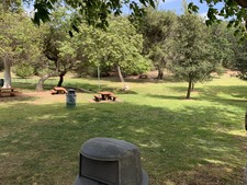 Enlarge photo 30
