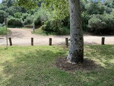 Enlarge photo 18