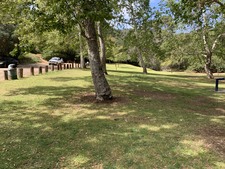 Enlarge photo 19