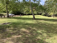 Enlarge photo 25
