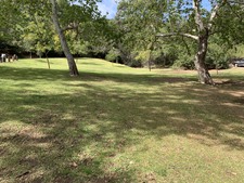 Enlarge photo 26
