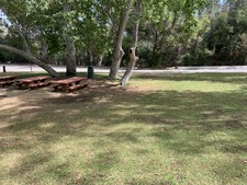 Enlarge photo 30