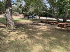 Enlarge photo 33