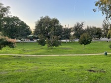 Enlarge photo 12