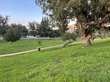 Enlarge photo 20