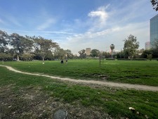 Enlarge photo 27