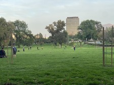 Enlarge photo 29