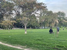 Enlarge photo 30