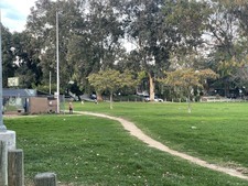 Enlarge photo 31