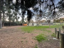 Enlarge photo 40